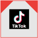 kolleris - Tiktok Icon